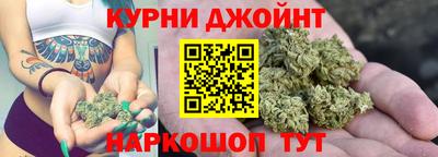 стафф Будённовск