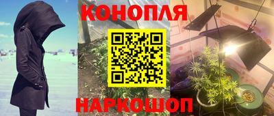 стафф Будённовск