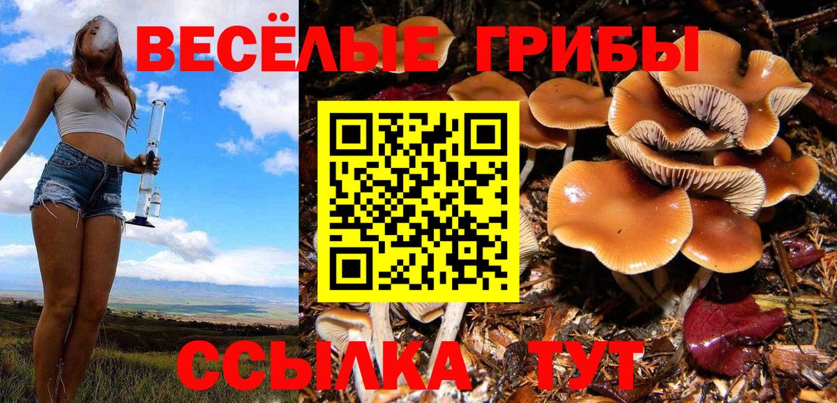 Галлюциногенные грибы GOLDEN TEACHER Тверь