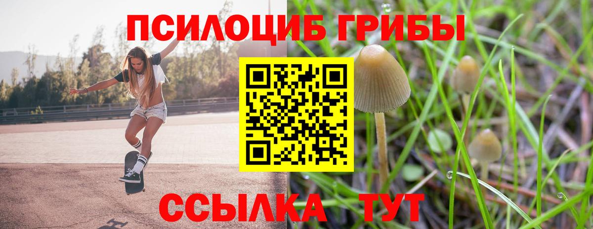 Тверь  Псилоцибиновые грибы MAGIC MUSHROOMS  Вход с VPN  Галлюциногенные грибы мухоморы 